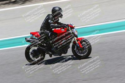 media/Jun-24-2022-TrackDaz (Fri) [[aa6850b51f]]/Group B/1245pm (Front Straight)/